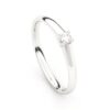 Pre Wedding rings  22P06W_01