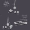 Silver Rose folder-2020 2020 brochure-9