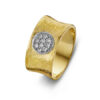 Speciale ring SR3117