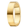Mémoire ring V107/ G60